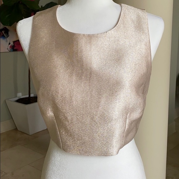 Champagne Crop Top - Picture 1 of 8